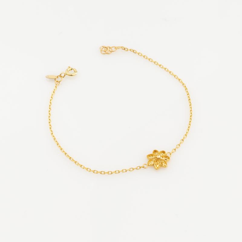 BR919 إنسيال آيرس 