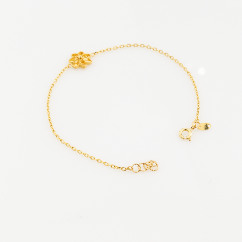 BR919 إنسيال آيرس 