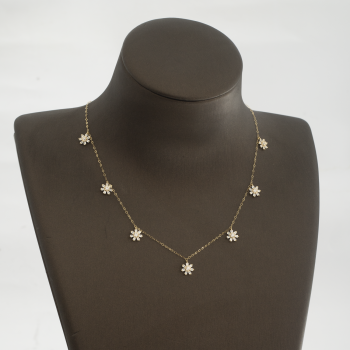 NK2227 تشوكر توما