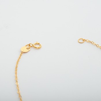 BR544 انسيال ديلا روب (شارمين)