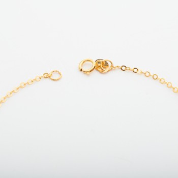 BR547 انسيال ديلا روب (شكران)