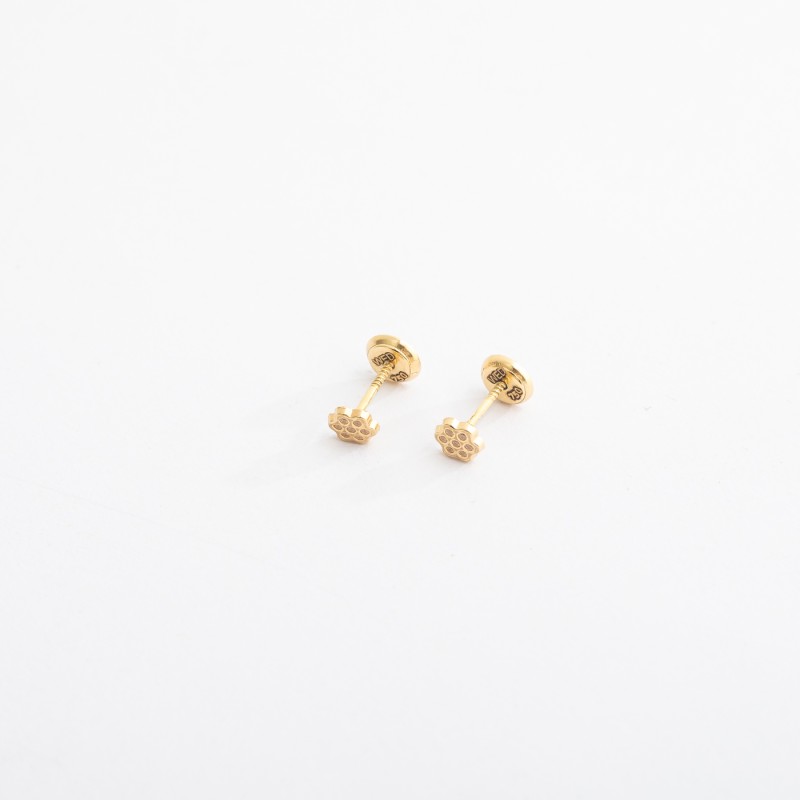 برادل (حلق طبي)