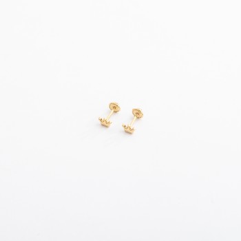 التاج (حلق طبي)