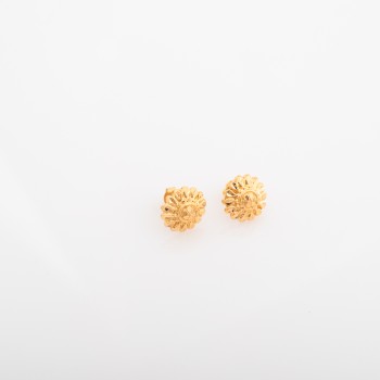 ER729 حلق الأصيل (شمس)