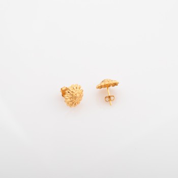 ER729 حلق الأصيل (شمس)